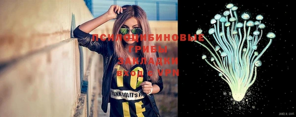 гидропоника Алексеевка