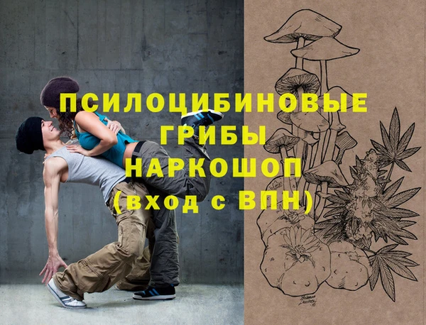 герыч Алексин