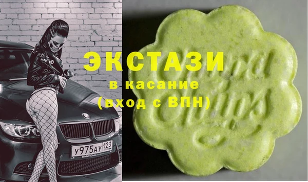 индика Сатка